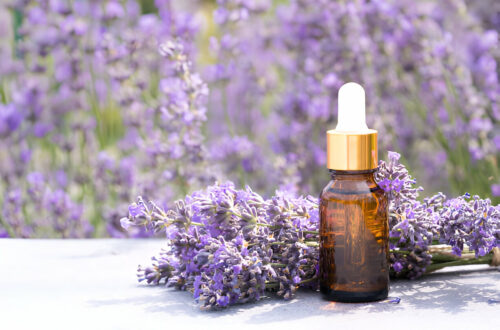 Lavender skin care