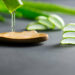 Aloe vera skin care